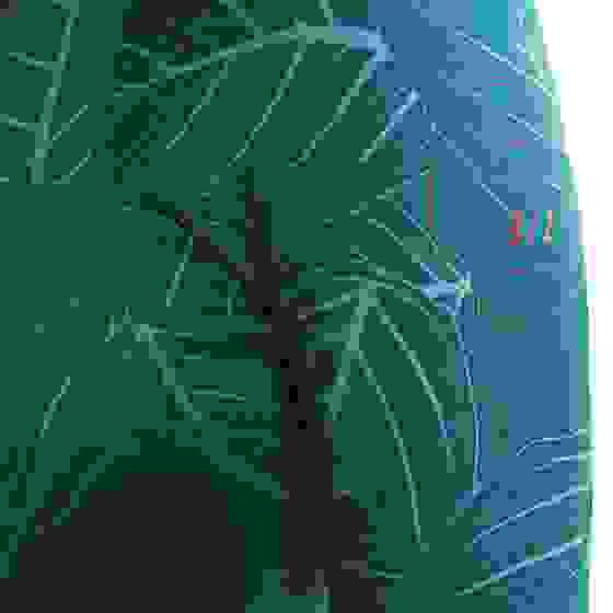 303520007 Гидрокостюм JOBE Women Sofia Fullsuit Vintage Teal M