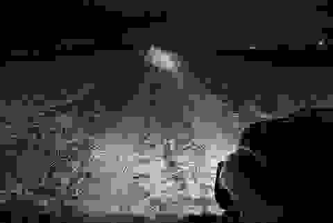 Светодиодная оптика Prolight XIL-SP740