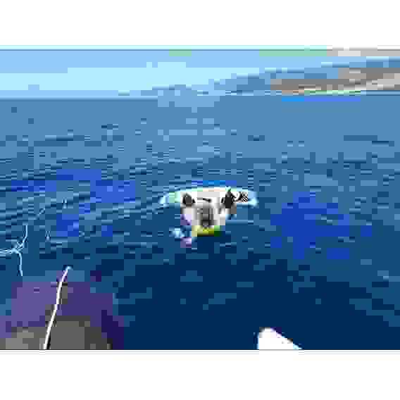 Вейкборд катерный Spinera Wakeboard Good Lines 140