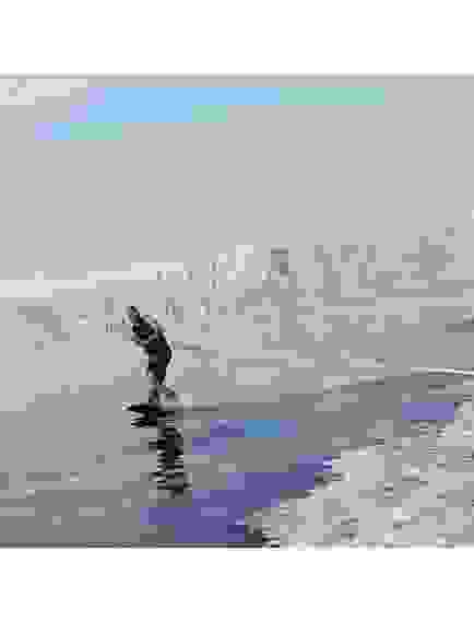 Крепления для вейкборда прокатные Spinera Professional Rental Binding S23 L/XL Teal