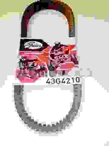 Ремень вариатора на bearcat Z1 43G4210